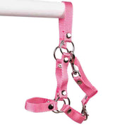 Halter for PRO hobby horses Size: M Color: Pink