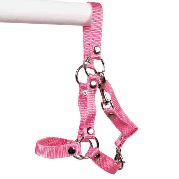 Halter for PRO hobby horses Size: M Color: Pink