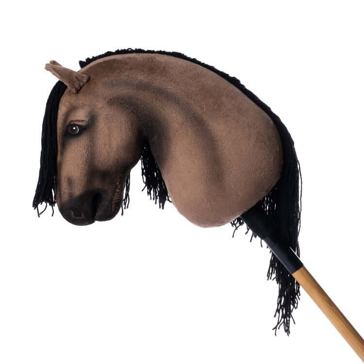 3,700+ Hobby Horse Stock Photos, Pictures & Royalty-Free Images - iStock