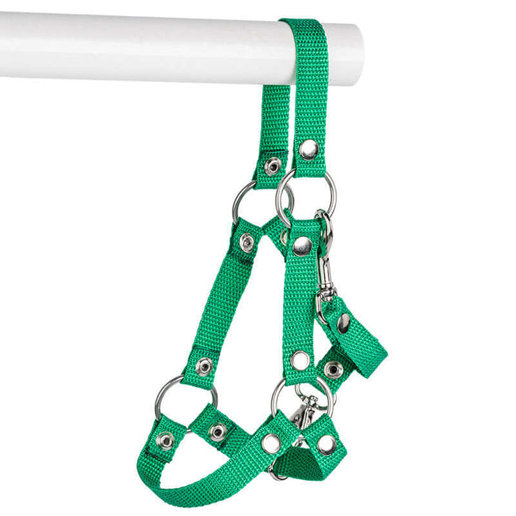 Green hobby horse halter