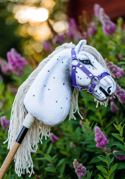 Hobby horse with halter among flowers
