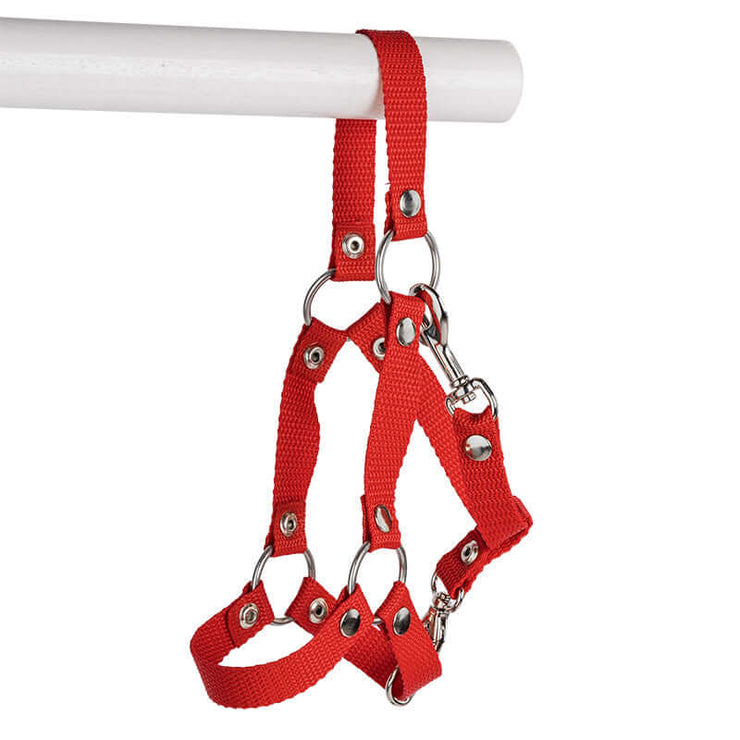 Red hobby horse halter