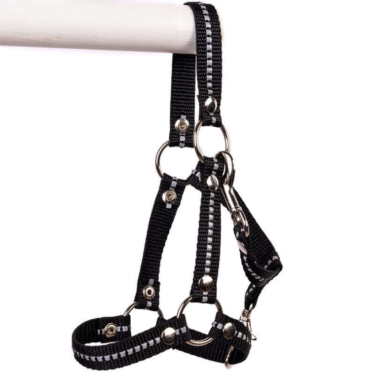 Halter for PRO hobby horses Size: M Color: Black with reflectors