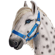 Halter for PRO hobby horses Size: M, L, XL Color: Blue, on horse