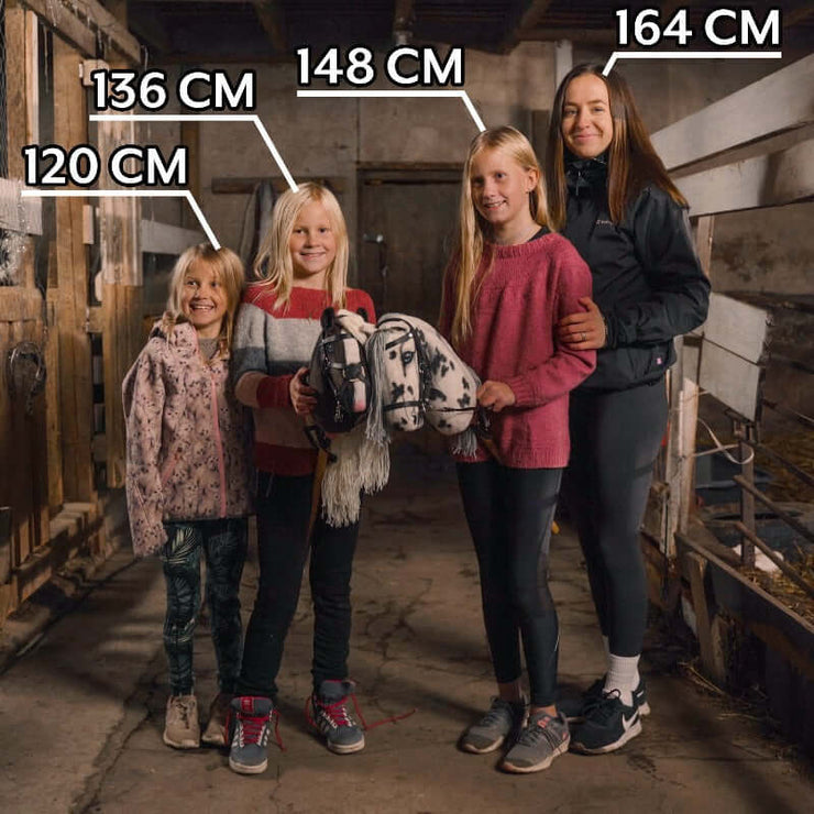Finnish Hobby Horsing Humma Real hobby horses