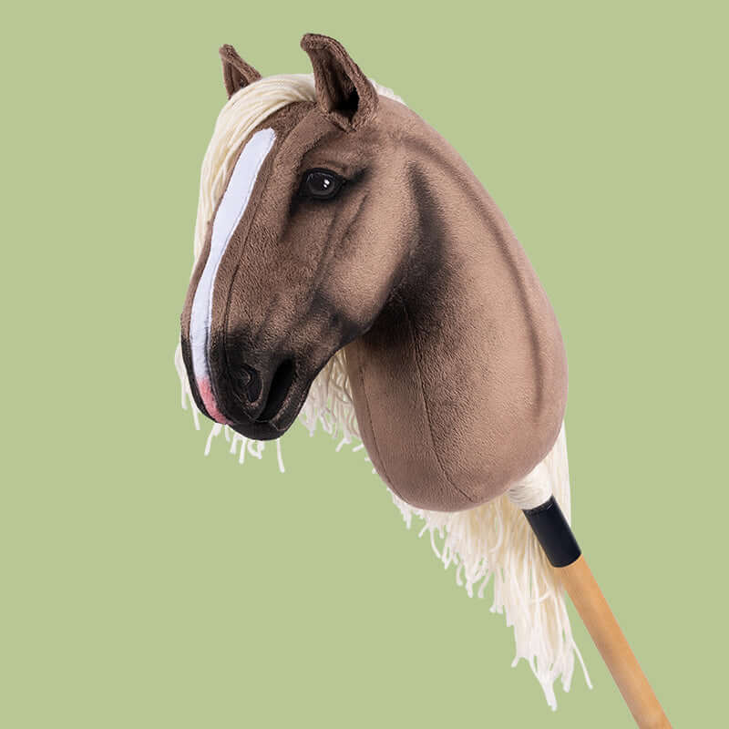 tack hobby horse｜TikTok Search