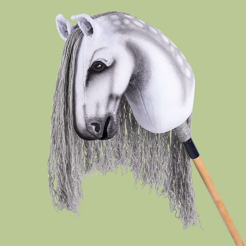 All hobby horses and accessories HUMMA