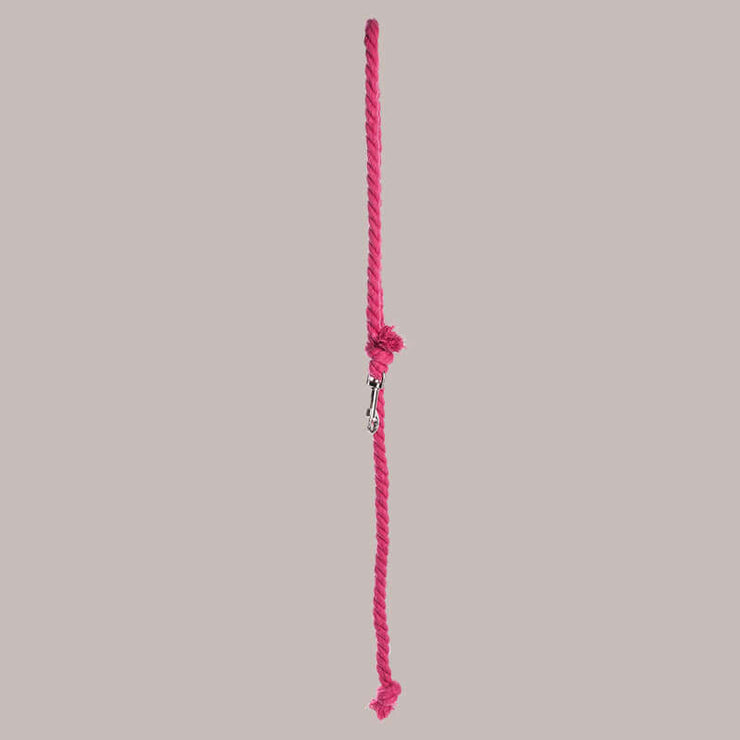Lead rope for hobby horses pink